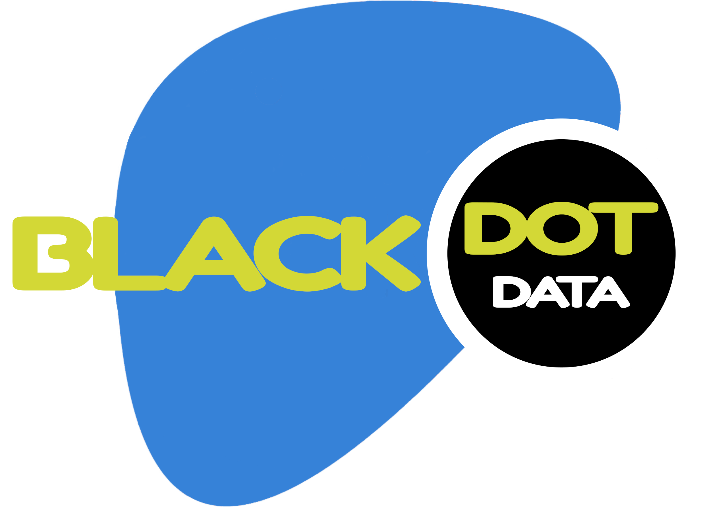 Black Dot Data